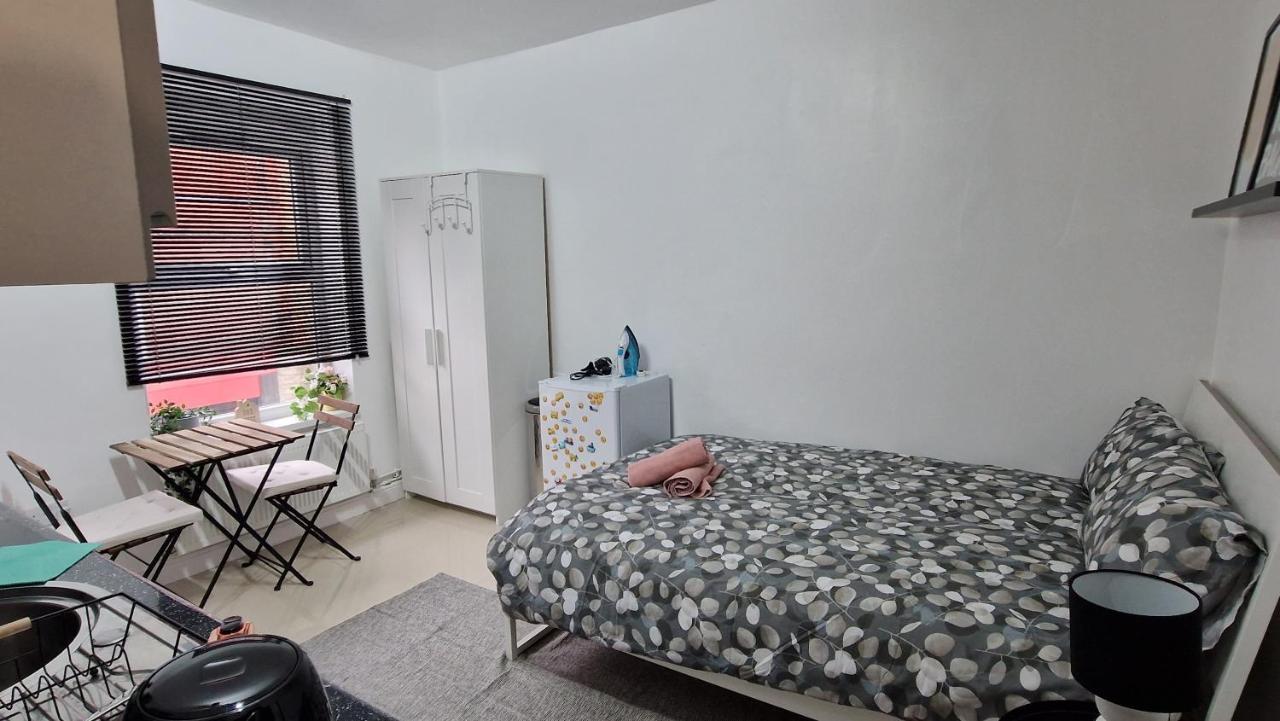 Small Cozy Studio Zone 1 London Exterior foto